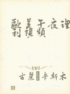 欧美午夜理论福利视频