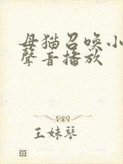 母猫召唤小猫的声音播放