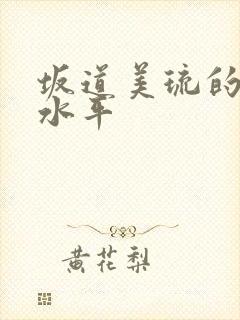 坂道美琉的实力水平