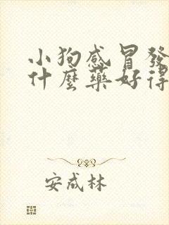 小狗感冒发烧吃什么药好得快