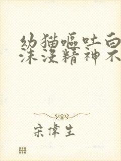 幼猫呕吐白色泡沫没精神不吃东西