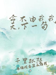命不由我我不由天,下一句