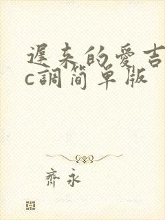 迟来的爱吉他谱c调简单版