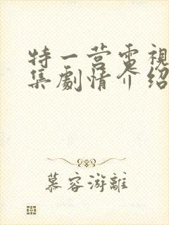 特一营电视剧全集剧情介绍