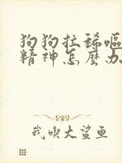 狗狗拉稀呕吐没精神怎么办