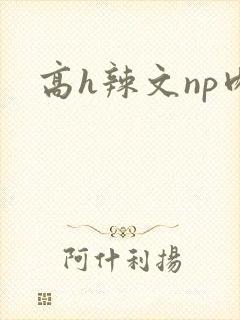 高h辣文np肉