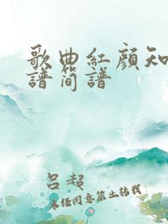 歌曲红颜知己曲谱简谱