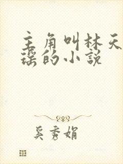 主角叫林天顾悦瑶的小说