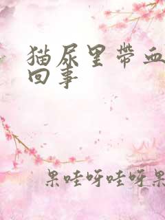 猫尿里带血怎么回事