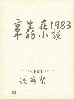 重生在1983年的小说
