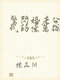 惊闪婚老公竟是我的亿万总裁