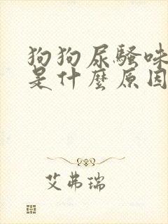 狗狗尿骚味很重是什么原因