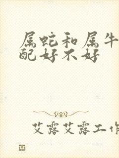 属蛇和属牛的婚配好不好