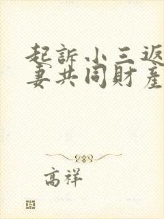 起诉小三返还夫妻共同财产的案由