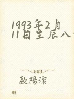 1993年2月11日生辰八字