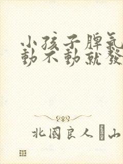 小孩子脾气暴躁动不动就发脾气怎么办