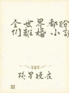 全世界都盼着我们离婚 小说