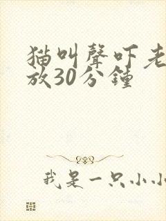 猫叫声吓老鼠播放30分钟