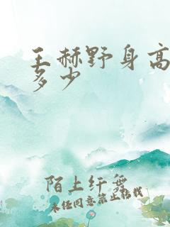 王赫野身高体重多少