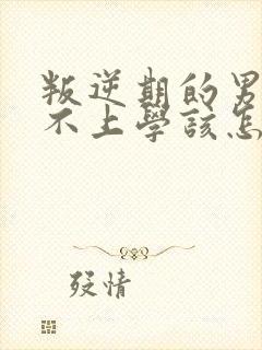 叛逆期的男孩子不上学该怎样去沟通教育