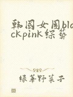 韩国女团blackpink综艺