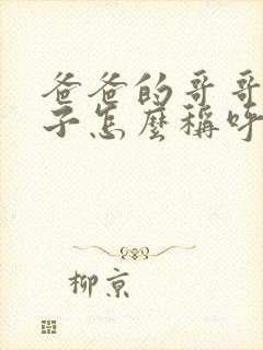 爸爸的哥哥的儿子怎么称呼