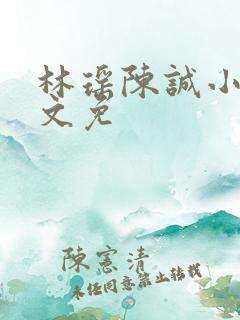 林瑶陈诚小说全文免