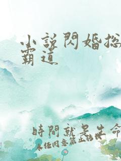 小说闪婚总裁太霸道