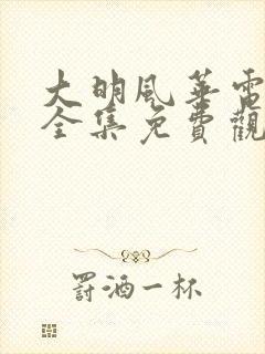 大明风华电视剧全集免费观看不卡