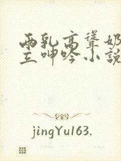 两乳高耸奶头挺立呻吟小说