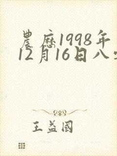 农历1998年12月16日八字