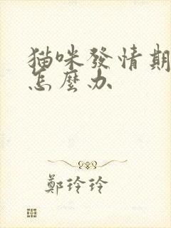 猫咪发情期乱尿怎么办