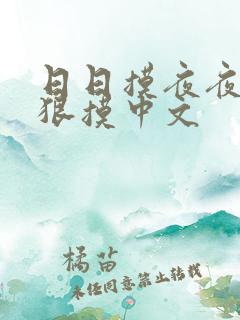 日日摸夜夜摸狠狠摸中文