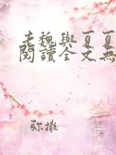 老魏与夏夏免费阅读全文无弹窗