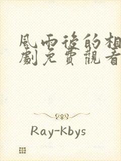 风雨后的相拥短剧免费观看