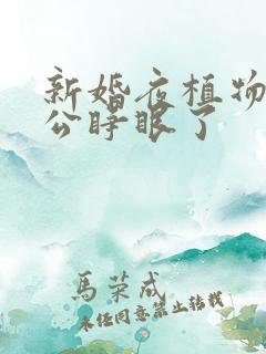 新婚夜植物人老公睁眼了