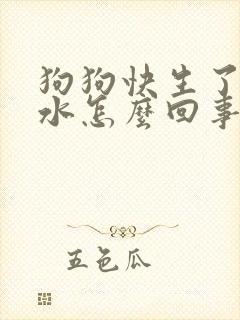 狗狗快生了吐黄水怎么回事