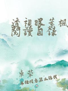 透视眼叶枫全文阅读目录