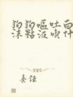 狗狗呕吐白色泡沫粘液吃什么药