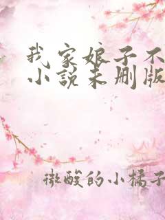 我家娘子不对劲小说未删版全文
