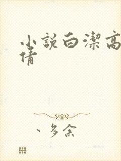 小说白洁高义孙倩