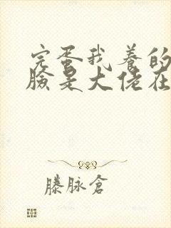 完蛋我养的小白脸是大佬在线短剧