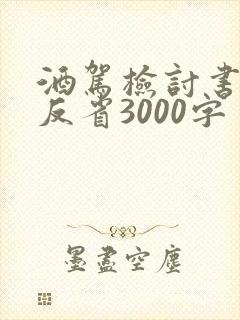 酒驾检讨书自我反省3000字