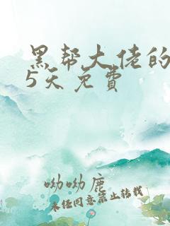 黑帮大佬的365天免费