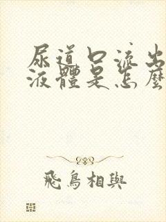 尿道口流出黄色液体是怎么回事?