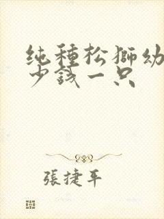 纯种松狮幼犬多少钱一只