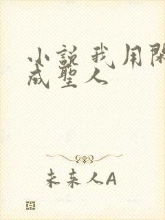 小说 我用闲书成圣人