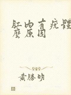 肛内有疣体是什么原因