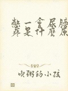 憋一会尿膀胱就疼是什么原因