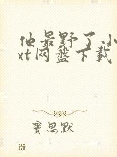 他最野了小说txt网盘下载